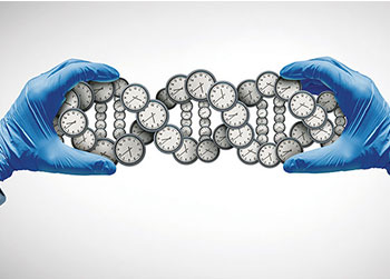 Lightspring/shutterstock Promise and Pitfalls of Biological-Age Tests