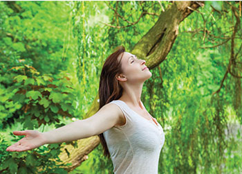connect with the sights, sounds and smells of the forest in Milford